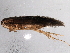  ( - 10HDT-008)  @13 [ ] CreativeCommons - Attribution (2010) CBG Photography Group Centre for Biodiversity Genomics