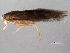  ( - 10HDT-011)  @12 [ ] CreativeCommons - Attribution (2010) CBG Photography Group Centre for Biodiversity Genomics