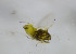  ( - GSSHH_Aley002)  @12 [ ] No Rights Reserved (2014) Unspecified University of Oslo, Natural History Museum