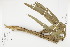  ( - IAvH-CT-14094)  @11 [ ] CreativeCommons - Attribution Non-Commercial Share-Alike (2019) Herbario FMB Instituto de Investigacion Alexander von Humboldt IAvH