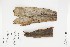  ( - IAvH-CT-02783)  @11 [ ] CreativeCommons - Attribution Non-Commercial Share-Alike (2019) Herbario FMB Instituto de Investigacion Alexander von Humboldt IAvH