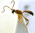  ( - IO01_G320)  @14 [ ] CreativeCommons - Attribution Non-Commercial Share-Alike (2013) Ika Osterblad University of Oulu