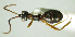  ( - IO03_G601x)  @13 [ ] CreativeCommons - Attribution Non-Commercial Share-Alike (2013) Ika Osterblad University of Oulu