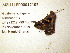  ( - MZLU-LEP00012102)  @11 [ ] CreativeCommons - Attribution Share-Alike (2020) Unspecified Lund University