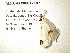  ( - MZLU-LEP00012107)  @11 [ ] CreativeCommons - Attribution Share-Alike (2020) Unspecified Lund University