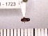  ( - INSECTSAI_1723)  @12 [ ] Unspecified (default): All Rights Reserved (2017) Benita Laird-Hopkins Iowa State University