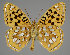 (Speyeria zerene - 2014nk14)  @14 [ ] No Rights Reserved (2054) NG Kondla Unspecified