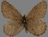  ( - CSG30280)  @14 [ ] CreativeCommons - Attribution Non-Commercial (2017) Crispin S Guppy Crispin S Guppy Collection
