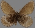  ( - CSG30280)  @13 [ ] CreativeCommons - Attribution Non-Commercial (2017) Crispin S Guppy Crispin S Guppy Collection