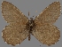  ( - CSG30281)  @14 [ ] CreativeCommons - Attribution Non-Commercial (2017) Crispin S Guppy Crispin S Guppy Collection