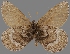  ( - CSG30281)  @14 [ ] CreativeCommons - Attribution Non-Commercial (2017) Crispin S Guppy Crispin S Guppy Collection