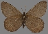  ( - CSG30282)  @14 [ ] CreativeCommons - Attribution Non-Commercial (2017) Crispin S Guppy Crispin S Guppy Collection
