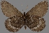  ( - CSG30282)  @14 [ ] CreativeCommons - Attribution Non-Commercial (2017) Crispin S Guppy Crispin S Guppy Collection