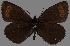  ( - CSG31069)  @12 [ ] CreativeCommons - Attribution Non-Commercial (2017) Crispin S Guppy Crispin S Guppy Collection