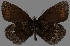  ( - CSG31069)  @12 [ ] CreativeCommons - Attribution Non-Commercial (2017) Crispin S Guppy Crispin S Guppy Collection