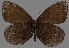  ( - CSG31077)  @12 [ ] CreativeCommons - Attribution Non-Commercial (2017) Crispin S Guppy Crispin S Guppy Collection