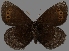 ( - CSG31078)  @12 [ ] CreativeCommons - Attribution Non-Commercial (2017) Crispin S Guppy Crispin S Guppy Collection