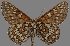  ( - CSG31251)  @13 [ ] CreativeCommons - Attribution Non-Commercial (2017) Crispin S Guppy Crispin S Guppy Collection