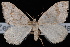  ( - CNCLEP00034136)  @13 [ ] CreativeCommons - Attribution Non-Commercial Share-Alike (2010) Unspecified University of British Columbia
