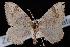  ( - CNCLEP00034138)  @13 [ ] CreativeCommons - Attribution Non-Commercial Share-Alike (2010) Unspecified University of British Columbia