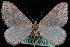  ( - CNCLEP00034049)  @13 [ ] CreativeCommons - Attribution Non-Commercial Share-Alike (2010) Unspecified University of British Columbia