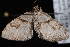  ( - CNCLEP00034056)  @12 [ ] CreativeCommons - Attribution Non-Commercial Share-Alike (2010) Unspecified University of British Columbia