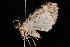  ( - CNCLEP00034058)  @12 [ ] CreativeCommons - Attribution Non-Commercial Share-Alike (2010) Unspecified University of British Columbia