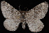  ( - CNCLEP00034066)  @13 [ ] CreativeCommons - Attribution Non-Commercial Share-Alike (2010) Unspecified University of British Columbia