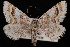  ( - CNCLEP00034072)  @14 [ ] CreativeCommons - Attribution Non-Commercial Share-Alike (2010) Unspecified University of British Columbia