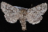  ( - CNCLEP00034171)  @14 [ ] CreativeCommons - Attribution Non-Commercial Share-Alike (2010) Unspecified University of British Columbia