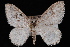  ( - CNCLEP00034078)  @14 [ ] CreativeCommons - Attribution Non-Commercial Share-Alike (2010) Unspecified University of British Columbia