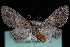  ( - CNCLEP00034088)  @13 [ ] CreativeCommons - Attribution Non-Commercial Share-Alike (2010) Unspecified University of British Columbia