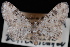  (Eupithecia agnesata - CNCLEP00035448)  @13 [ ] CreativeCommons - Attribution Non-Commercial Share-Alike (2010) Unspecified University of British Columbia