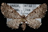  ( - CNCLEP00034098)  @13 [ ] CreativeCommons - Attribution Non-Commercial Share-Alike (2010) Unspecified University of British Columbia