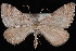  ( - CNCLEP00035462)  @13 [ ] CreativeCommons - Attribution Non-Commercial Share-Alike (2010) Unspecified University of British Columbia