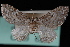  ( - CNCLEP00034107)  @13 [ ] CreativeCommons - Attribution Non-Commercial Share-Alike (2010) Unspecified University of British Columbia