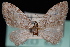  ( - CNCLEP00034108)  @13 [ ] CreativeCommons - Attribution Non-Commercial Share-Alike (2010) Unspecified University of British Columbia