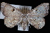  ( - JECW-07-0189)  @13 [ ] CreativeCommons - Attribution (2010) Unspecified University of British Columbia