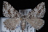  ( - JECW-07-0004)  @13 [ ] CreativeCommons - Attribution (2010) Unspecified University of British Columbia
