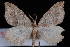 ( - JECW-07-0009)  @13 [ ] CreativeCommons - Attribution (2010) Unspecified University of British Columbia