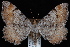  ( - JECW-07-0012)  @13 [ ] CreativeCommons - Attribution (2010) Unspecified University of British Columbia