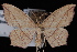  ( - JECW-07-0209)  @14 [ ] CreativeCommons - Attribution (2010) Unspecified University of British Columbia