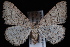  ( - JECW-07-0023)  @13 [ ] CreativeCommons - Attribution (2010) Unspecified University of British Columbia