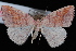 ( - JECW-07-0054)  @13 [ ] CreativeCommons - Attribution (2010) Unspecified University of British Columbia