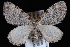  ( - JECW-07-0152)  @13 [ ] CreativeCommons - Attribution (2010) Unspecified University of British Columbia