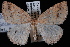  ( - JECW-07-0062)  @13 [ ] CreativeCommons - Attribution (2010) Unspecified University of British Columbia