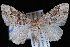  ( - JECW-07-0156)  @13 [ ] CreativeCommons - Attribution (2010) Unspecified University of British Columbia