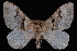  ( - PFC-2007-0316)  @13 [ ] CreativeCommons - Attribution (2010) Unspecified University of British Columbia