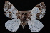  ( - PFC-2007-0328)  @13 [ ] CreativeCommons - Attribution (2010) Unspecified University of British Columbia