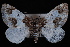  ( - PFC-2007-0329)  @13 [ ] CreativeCommons - Attribution (2010) Unspecified University of British Columbia